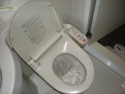 japansk toilet