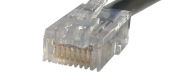 Ethernet netv�rk stik topfoto