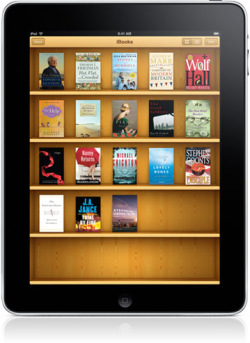 iPad iBookstore.jpg