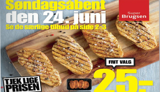 Artikel top billede