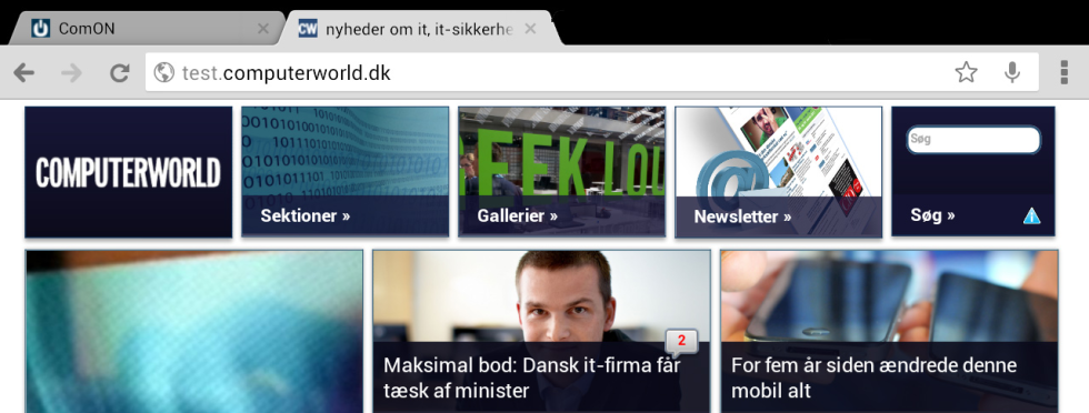 Artikel top billede