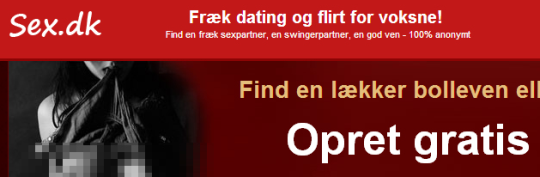 Artikel top billede
