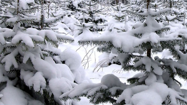 Artikel teaser billede