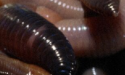 Artikel teaser billede