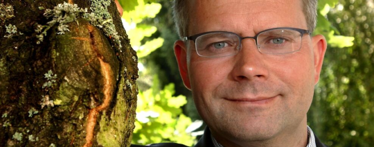 Artikel top billede