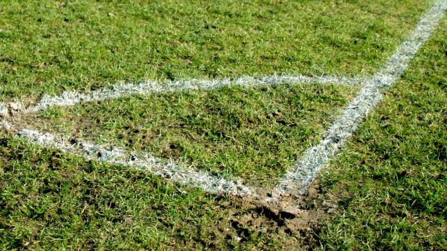Artikel teaser billede