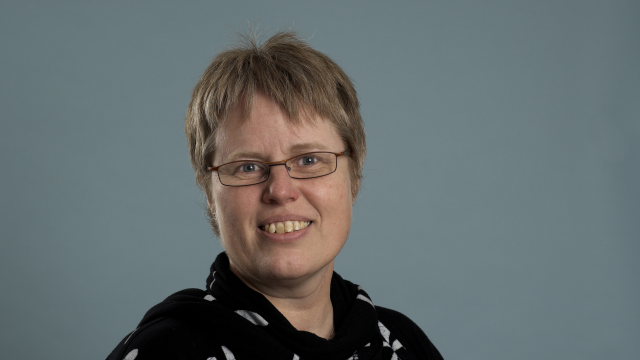 Artikel teaser billede