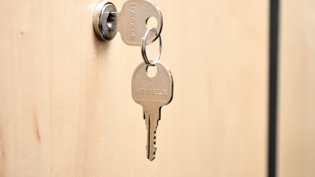 Artikel teaser billede