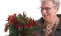 Artikel teaser billede