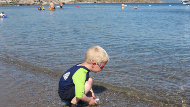 Artikel teaser billede