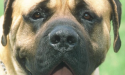 Artikel teaser billede