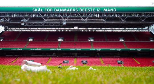 Artikel top billede