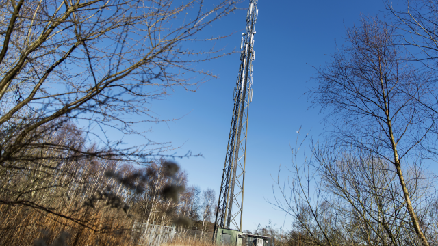 Artikel teaser billede