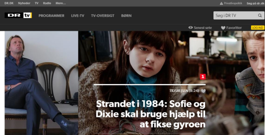 Artikel top billede