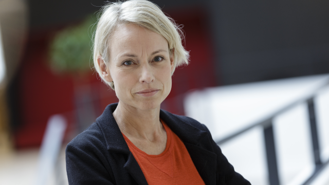 Artikel teaser billede