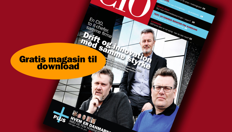 Artikel top billede