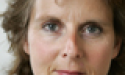 Artikel teaser billede