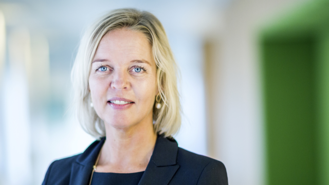 Artikel teaser billede