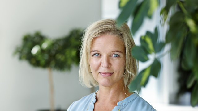 Artikel teaser billede