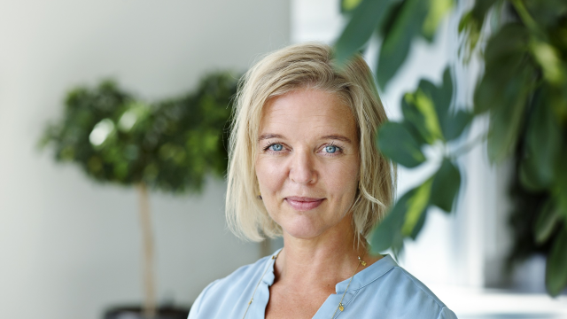 Artikel teaser billede