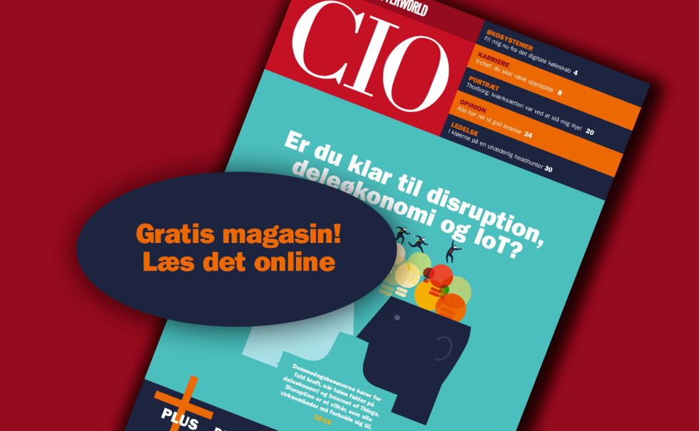 Artikel top billede