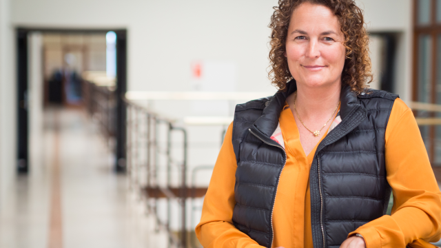 Artikel teaser billede