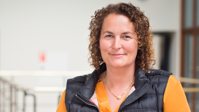 Artikel teaser billede