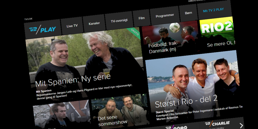 Artikel top billede