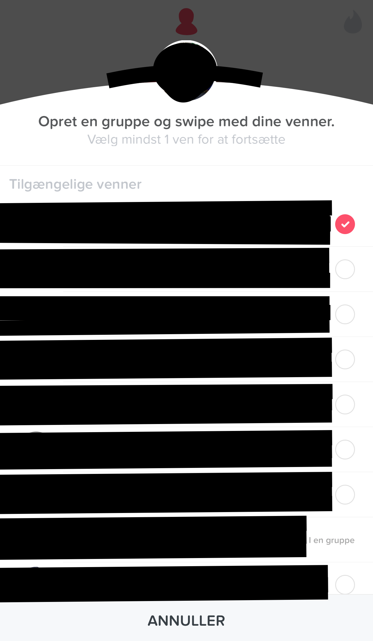 Artikel billede