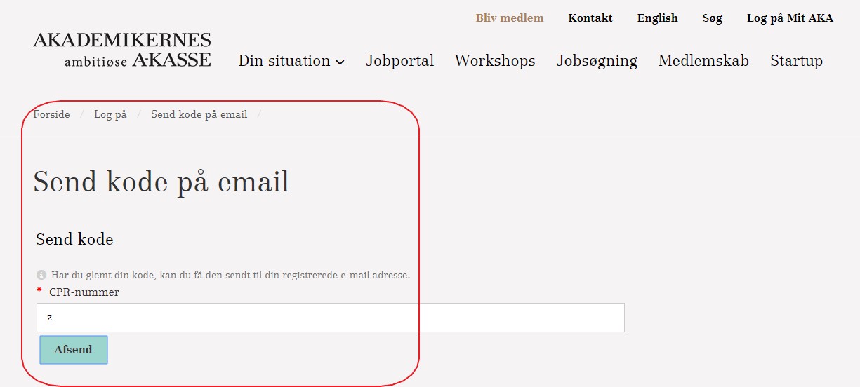Artikel billede