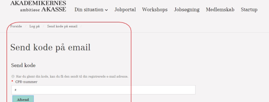 Artikel top billede