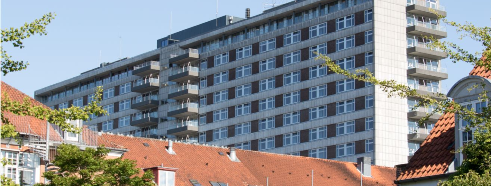 Artikel top billede