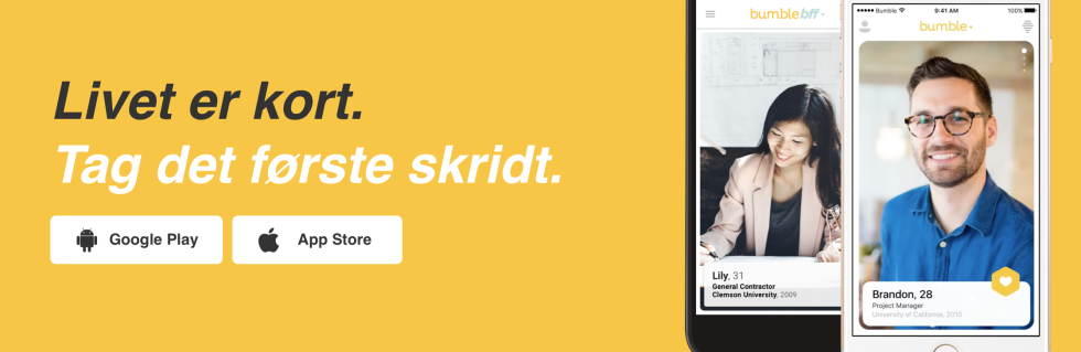 Artikel top billede