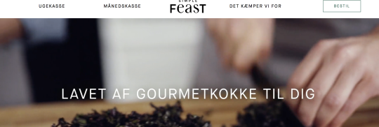 Artikel top billede