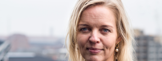 Artikel top billede