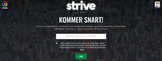 Artikel top billede