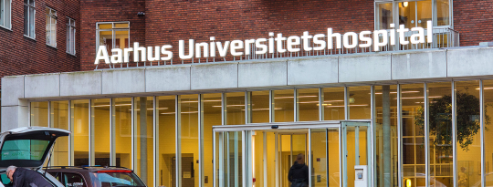 Artikel top billede