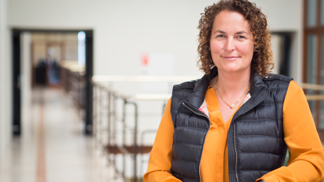 Artikel teaser billede