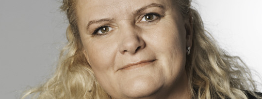 Artikel top billede