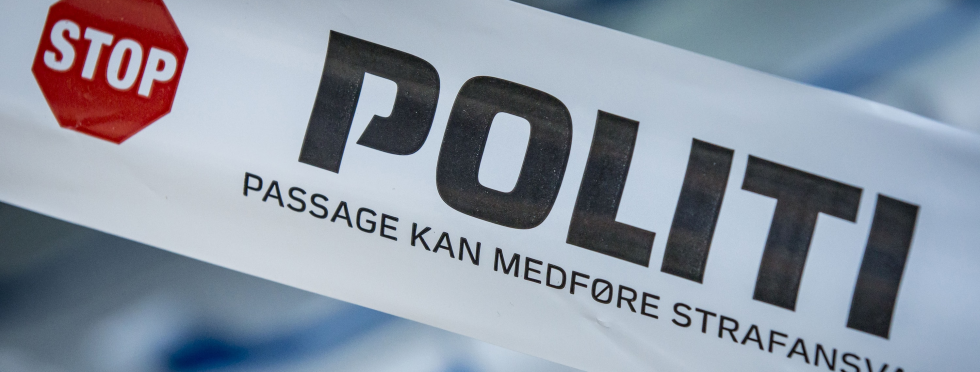 Artikel top billede