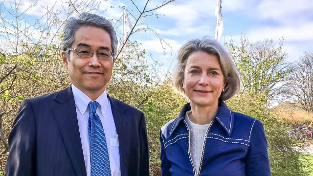 Artikel teaser billede