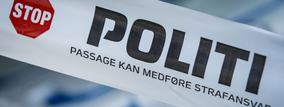 Artikel top billede