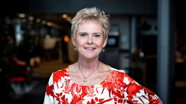 Artikel teaser billede