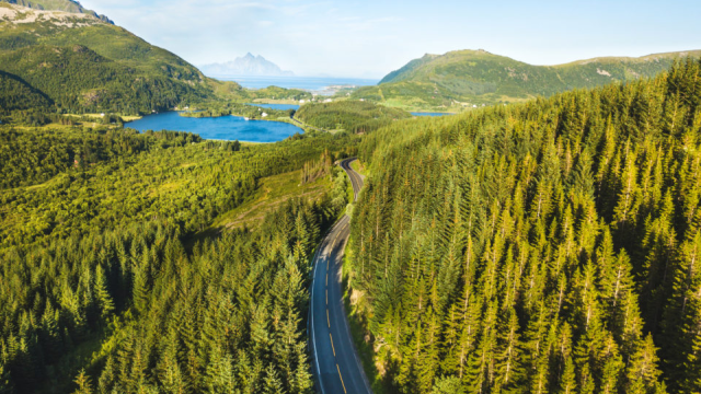 Artikel teaser billede