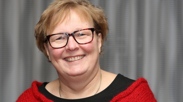 Artikel teaser billede