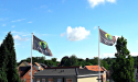 Artikel teaser billede