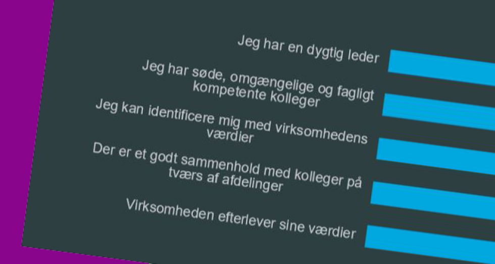 Artikel top billede