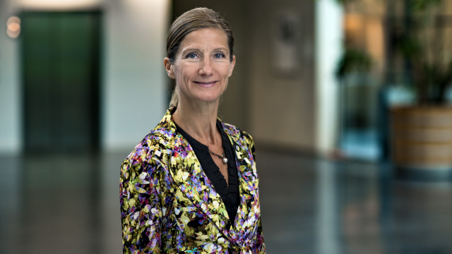 Artikel teaser billede