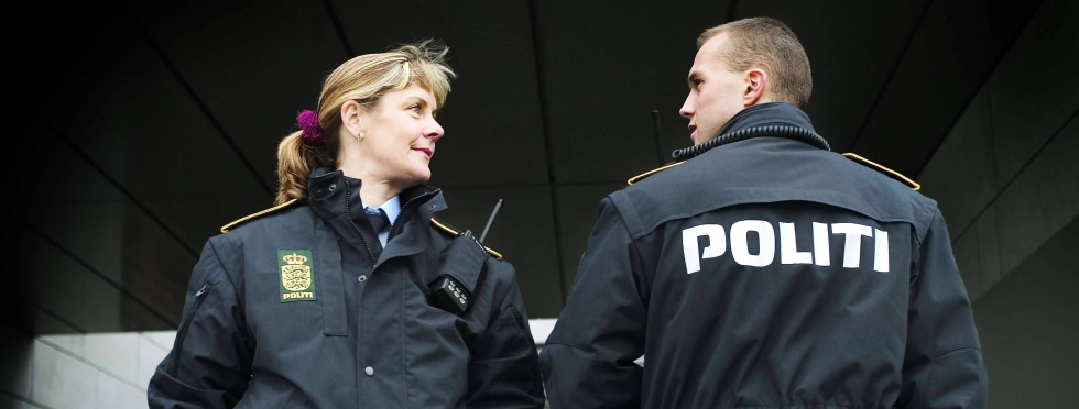 Artikel top billede