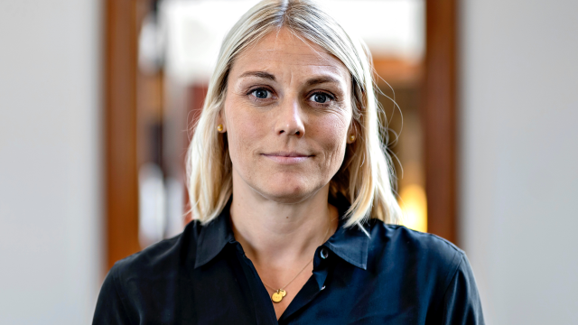 Artikel teaser billede